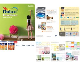 Dulux EasyClean EC A991